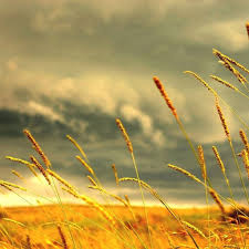 Here you can find the best summer wallpapers uploaded by our community. 25 Summer Ipad Wallpapers