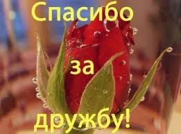 Цель праздника проста и понятна — помочь людям различной веры и культуры найти общий язык. Tulyaki Otmechayut Den Druzhby