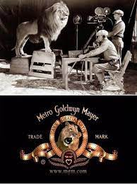 The Lion Used In The Original Mgm Movie Logo Killed Its Trainer And Two Assistants The Day After The Logo Was Filmed Mgm Lion Metro Goldwyn Mayer Mgm