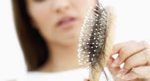 The outer sheath continues all the way up to the gland. Hair Shedding Facts Hair Loss In Women