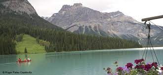 Canada Introduccion Bosque Lluvioso Viajes Por Carretera Paisajes