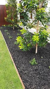 The effectiveness of garden plastic sheets or a black garden tarp goes down when used in the cooler, coastal regions. Mulch Wood Chip Black Bcsands Online Shop Building And Landscape Supplies We Supply Sydney S Best