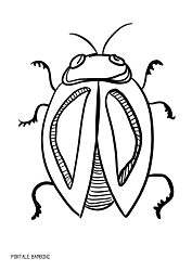 Disegni Di Insetti Da Stampare E Colorare Gratis Portale Bambini Bugs Coloring Coloringpages Coloringinspiration Disegni Insetti Colori