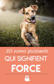 noms de chiens qui signifient force pour males et femelles nom chien femelle male coloriage c&#x00027;est moi