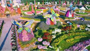 Kode alam belalang sembah bunga. Dubai Miracle Garden Taman Bunga Terbesar Dan Terindah Di Dunia