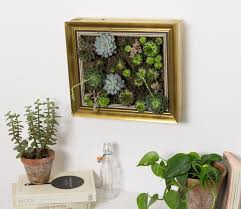 Sie können einen klassischen trockenstrauß aufstellen oder ihn auch mit schmückenden elementen verzieren. Diy Sukkulenten Bilderrahmen Garten Fraulein Der Garten Blog