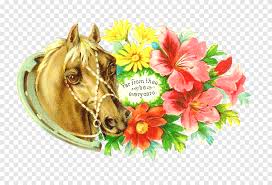 Si cantik pembersih kelam*n kuda. Bunga Potong Kuda Buket Bunga Victorian Horse S Kuda Pakaian Vintage Png Pngegg