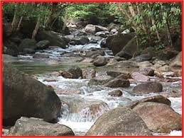 Antara kepentingan sungai yang utama adalah membekalkan sumber air bersih kepada manusia untuk kegunaan domestik. Karangan Berdasarkan Bahan Ransangan Kepentingan Sungai