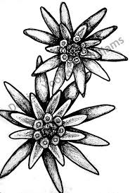Pin On Ink