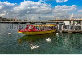 Mouette A Geneve Photo Stock Alamy