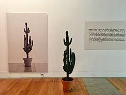 Joseph Kosuth One And Three Plants On Artstack Joseph Kosuth Art Joseph Kosuth Joseph Plants