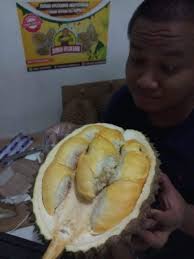 Durian 480 Juta, Ngeri! Halaman 2
