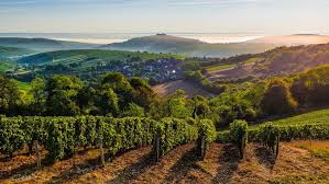 Assurance Sancerre Dutheil Renne Allianz