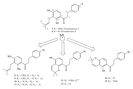Image result for Eriosema montanum