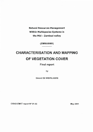 Image result for Meiostemon tetrandrus