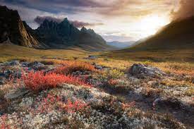 Tombstone territorial park is a territorial park in the yukon, one of three territories in canada. Tombstone Territorial Park Hiking Promotions