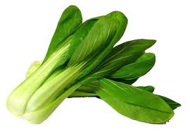 Bok Choy Png Image Bok Choy Vegetables Agriculture