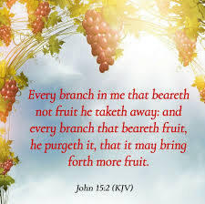John 15 2 Kjv Inspirational Scripture Knowing God Kjv