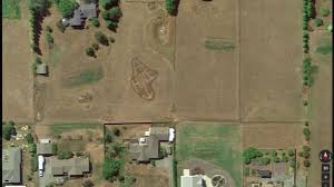 They were everywhere in his front lawn and wreaking havoc on his roses. This Angry Guy Used Google Earth To Get The Ultimate Revenge On His Neighbor