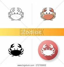 Ruled by the moon and characterized by the crab, cancer has so much going on in its watery depths. Cancer Zodiac Sign Vector Photo Free Trial Bigstock