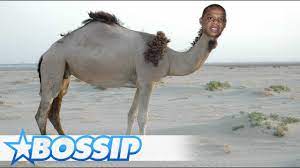 Because he is a freemason. Social Media Goes In On Jay Z S Struggle Camel Knees Bossip Report Youtube