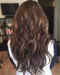 Vera M Stylist On Instagram Honey Caramel Balayage Custom Colored Extensions For This Brunette Beauty Enjoy The Sunn Brunette Hair Color Hair Styles Hair