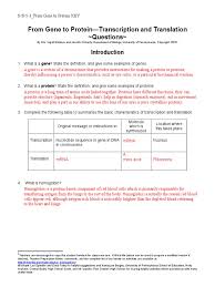 Transcription and translation worksheet answer key biology with worksheets 48 re mendations protein synthesis worksheet answers. S B 5 3 From Gene To Protein Key Translation Biology Dna