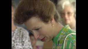 19 Anne Kingston Stock Videos, Footage, & 4K Video Clips