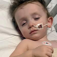 Fundraiser by Lauren Pattison : Little Remys Story x