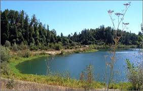 The park features a lovely redwood grove and two beautiful lakes for fishing, kayaking, and canoeing. Riverfront Regional Park Healdsburg Ca Park Photos Riverfront Park
