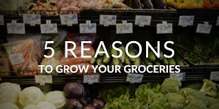 Check spelling or type a new query. Why To Grow Your Own Food 5 Research Backed Reasons