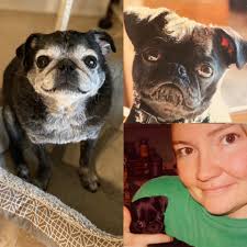 Beloved local free spirit passes away suddenly