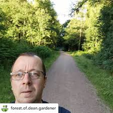 Our Forest — Wyldwood Arts