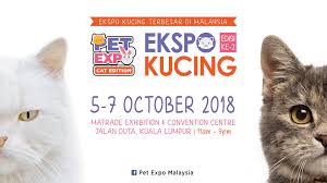 See more of kelab kucing malaysia on facebook. Ekspo Kucing Cats Expo Expatgo
