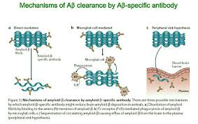 /epa연합뉴스 미국 바이오젠의 치매 치료제가 식품의약국(fda)에게 판매 승인을 받았다는 소식에 국내 치매 진단 및 치료제 관련 업체들의 주가가. ì•Œì¸ í•˜ì´ë¨¸ë³' Publications Facebook
