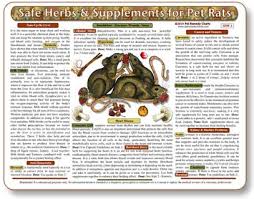 Safe Herbs And Homeopathic Remedies For Pet Rats