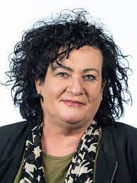 Born 6 june 1967) is a dutch journalist and politician, who has been a member of the house of representatives since the 2021 general election. Caroline Van Der Plas Wikipedia