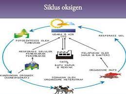 Motion graphics singkat tentang bagaimana karbon dapat berdaur ulang. Siklus Biogeokimia Pengertian Jenis Penerapan Lengkap
