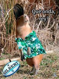 We would like to show you a description here but the site won't allow us. Por Que Los Carpinchos Invadieron Las Redes Sociales