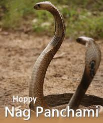 On the hallowed celebration of naag panchami may your life be an ecstatic heaven may shiva direct and secure you. 2021 Nag Panchami Naag Panchami Date