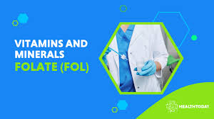 Image result for Serum Folate