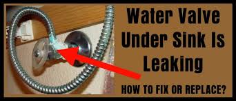 Maybe you would like to learn more about one of these? Water Supply Valve Under Kitchen Sink Is Leaking How To Fix