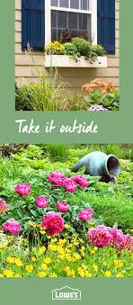 Diy Projects And Ideas Easy Care Plants Plants Backyard Transformation