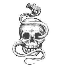 For this drawing, i use ink liners of 0.3, 0.4, 0.5 and 0.8 widths for the approximately a4 size of paper. Skull And Snake Drawing By Vectortatu Thehungryjpeg Com