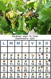 De la nouvelle lune (lundi 4 juillet 2016) à la pleine lune (mardi 19 juillet 2016), la lune est croissante: Jardiner Avec La Lune Au Mois De Septembre 2012 Le Jardinoscope Cote Pratique Les Bons Gestes A Faire Au Jardin