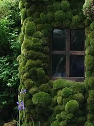 Moss Bubble House Love With Images Vertical Garden Beautiful Gardens Dream Garden
