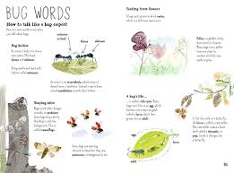 The Big Book Of Bugs The Big Book Series Zommer Yuval 9780500650677 Amazon Com Books In 2020 Big Book Kids Busy Activities Keeping Kids Busy
