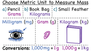 How Do You Determine The Best Metric Units To Measure A Mass