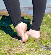 We have experts who can show you new destinations. I Absolutely Adore My Wife S Sexy High Arches I Love Hearing What Other Guys Think Of Her Gorgeous Little Feet And What They D Enjoy Doing With Them Aussiefeet