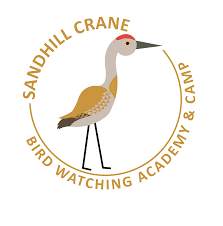 Shortly after moving to fairbanks, alaska this past august i was able to witness the sandhill crane migration as they you could hear their prehistoric sounding calls for miles! Sandhill Crane Bird Watching Academy